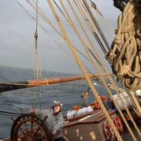 Steering through rough seas